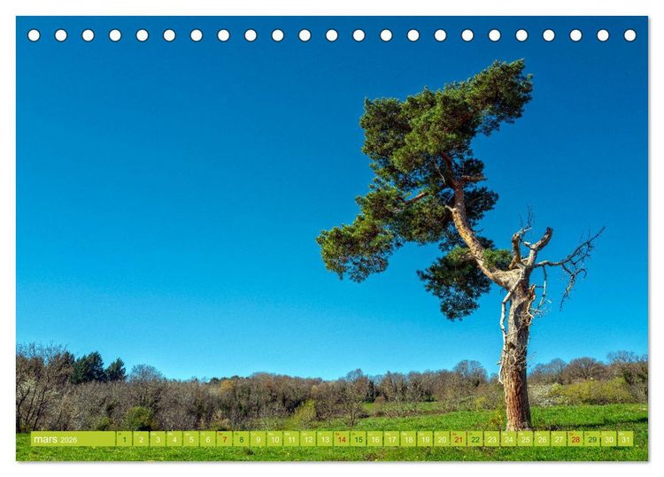 Produktbild: Solitude verdoyante (Calendrier de bureau 2026 DIN A5 vertical), CALVENDO calendrier mensuel