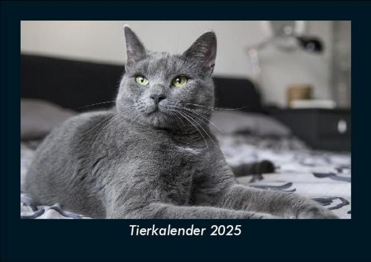 Produktbild: Tierkalender 2025 Fotokalender DIN A5