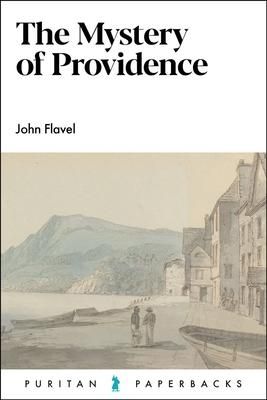 Produktbild: The Mystery of Providence