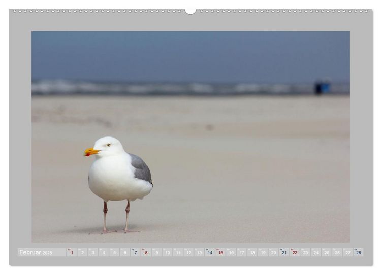 Produktbild: Juist - Kleine Insel, Gro&szlig;e Freiheit (hochwertiger Premium Wandkalender 2026 DIN A2 quer), Kunstdruck in Hochglanz