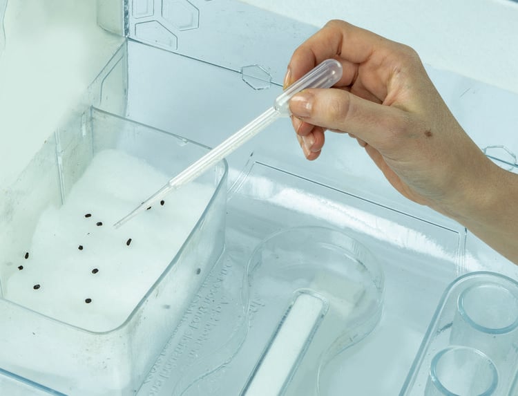 Produktbild: Galileo High Tech Gew&auml;chshaus