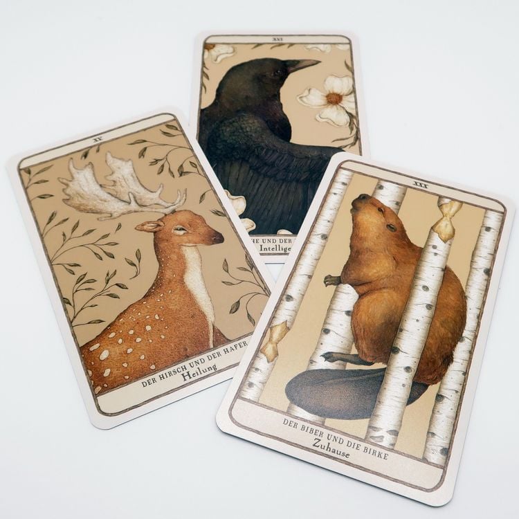 Produktbild: Woodland Wardens: 52 Orakelkarten mit Booklet