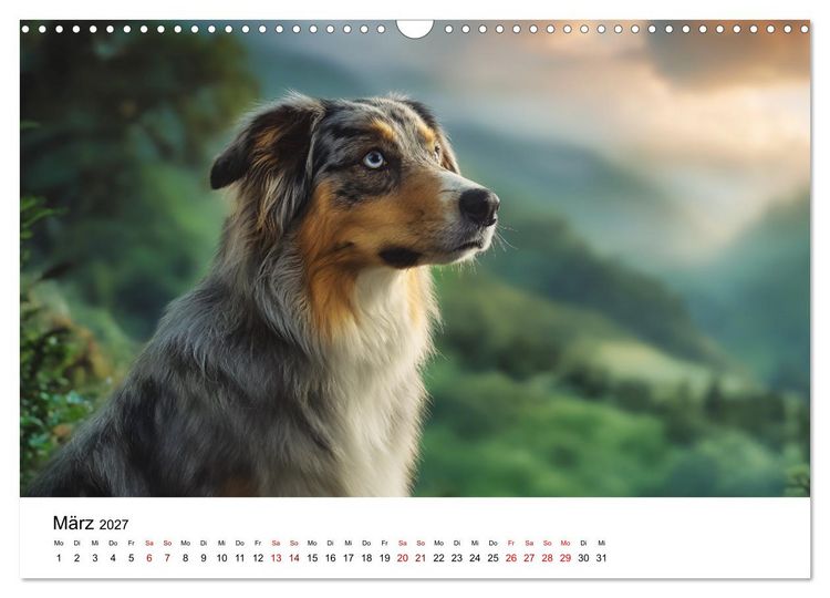 Produktbild: Born to run - Ein Jahr mit Australian Shepherds (Wandkalender 2027 DIN A3 quer), CALVENDO Monatskalender