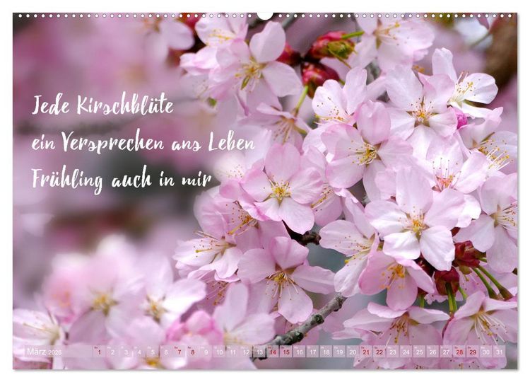 Produktbild: Haiku Poesie in Wort und Bild (Wandkalender 2026 DIN A2 quer), CALVENDO Monatskalender