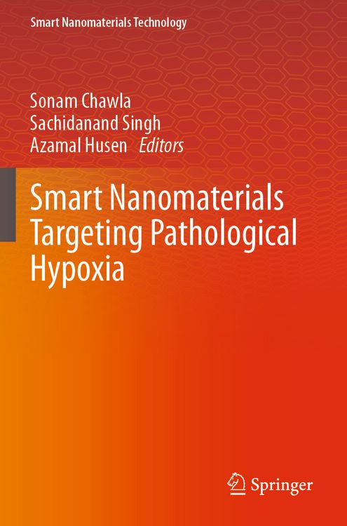 Produktbild: Smart Nanomaterials Targeting Pathological Hypoxia