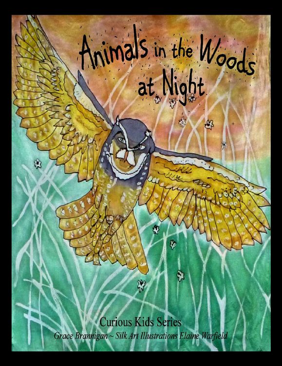 Produktbild: Animals in the Woods at Night (Curious Kids Series, #2)
