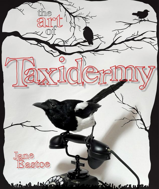Produktbild: The Art of Taxidermy