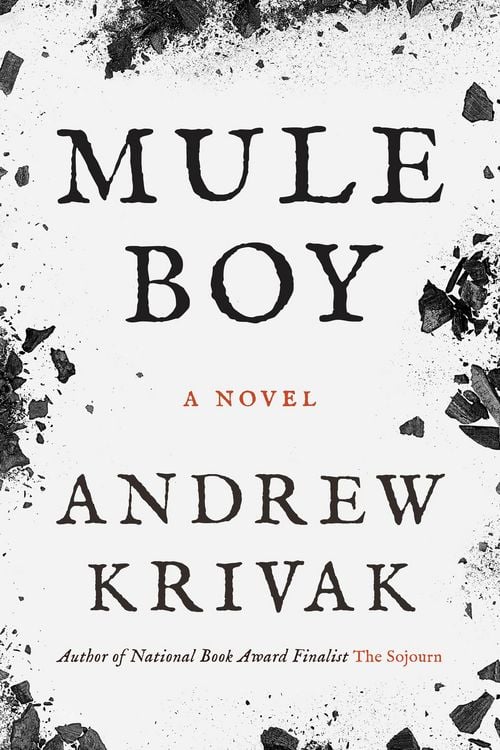 Produktbild: Mule Boy