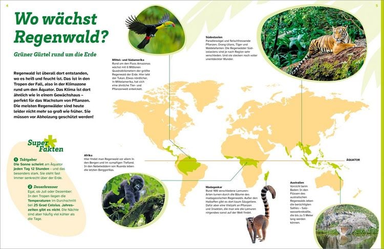 Produktbild: WAS IST WAS Regenwald. Wilde grüne Welt