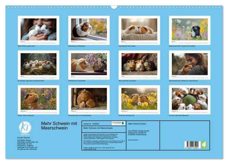 Produktbild: Mehr Schwein mit Meerschwein (Wandkalender 2026 DIN A2 quer), CALVENDO Monatskalender