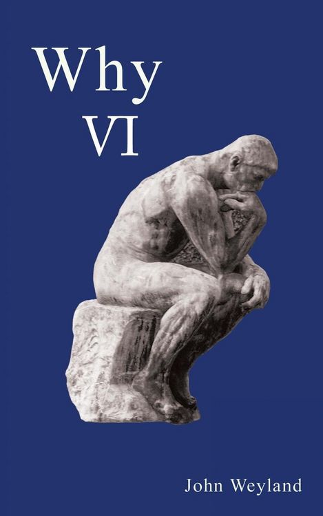 Produktbild: Why Vi
