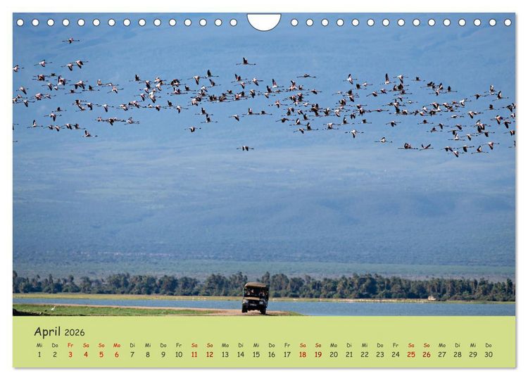 Produktbild: Gefiederte Sch&ouml;nheiten Ostafrikas (Wandkalender 2026 DIN A4 quer), CALVENDO Monatskalender