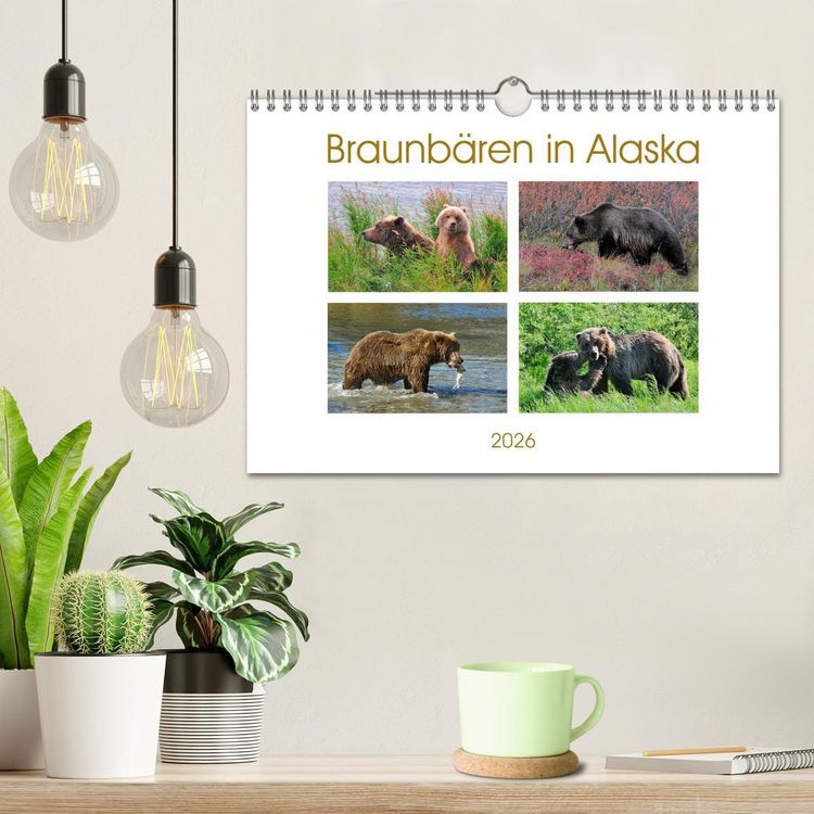 Produktbild: Braunb&auml;ren in Alaska (Wandkalender 2026 DIN A4 quer), CALVENDO Monatskalender
