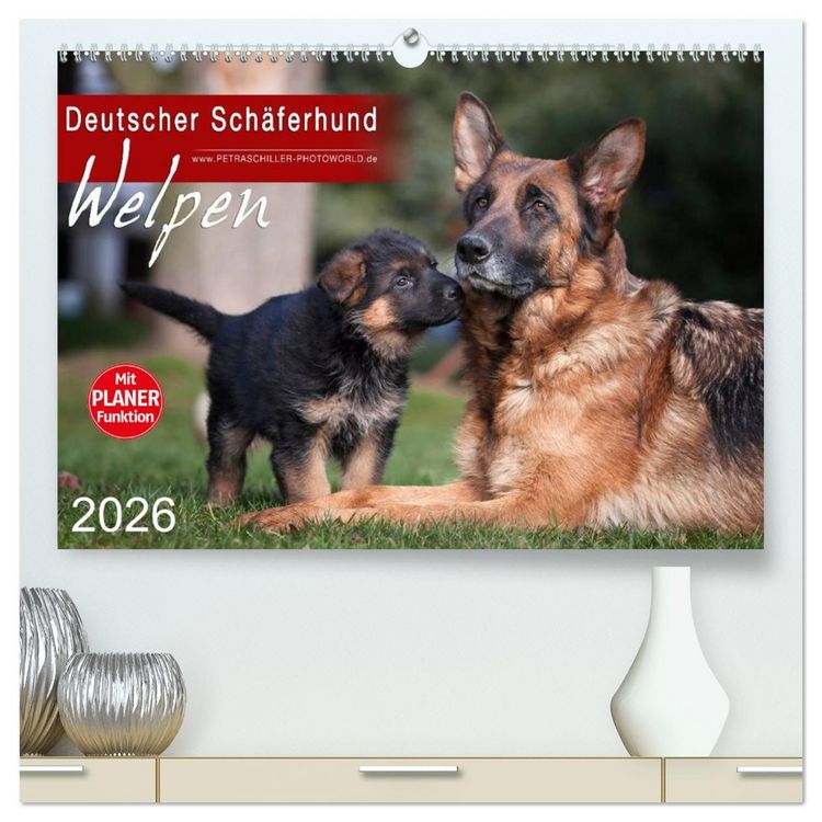 Produktbild: Deutscher Sch&auml;ferhund - Welpen (hochwertiger Premium Wandkalender 2026 DIN A2 quer), Kunstdruck in Hochglanz