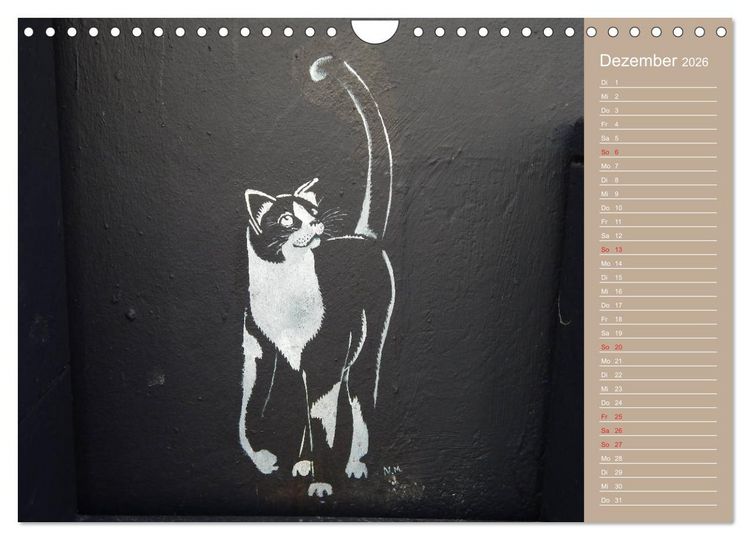 Produktbild: Flensburger Katzen (Wandkalender 2026 DIN A4 quer), CALVENDO Monatskalender