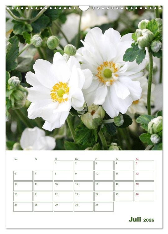 Produktbild: Wei&szlig;e Bl&uuml;ten im Gr&uuml;nen (Wandkalender 2026 DIN A3 hoch), CALVENDO Monatskalender
