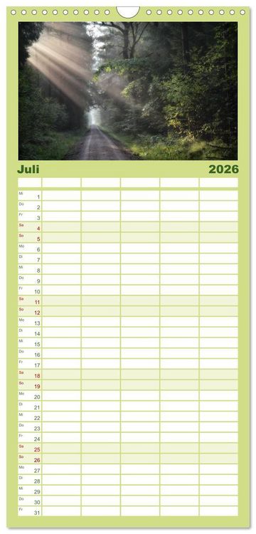 Produktbild: Familienplaner 2026 - Waldkalender mit 5 Spalten (Wandkalender, 21 x 45 cm) CALVENDO