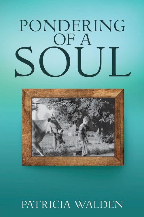 Produktbild: Pondering of a Soul