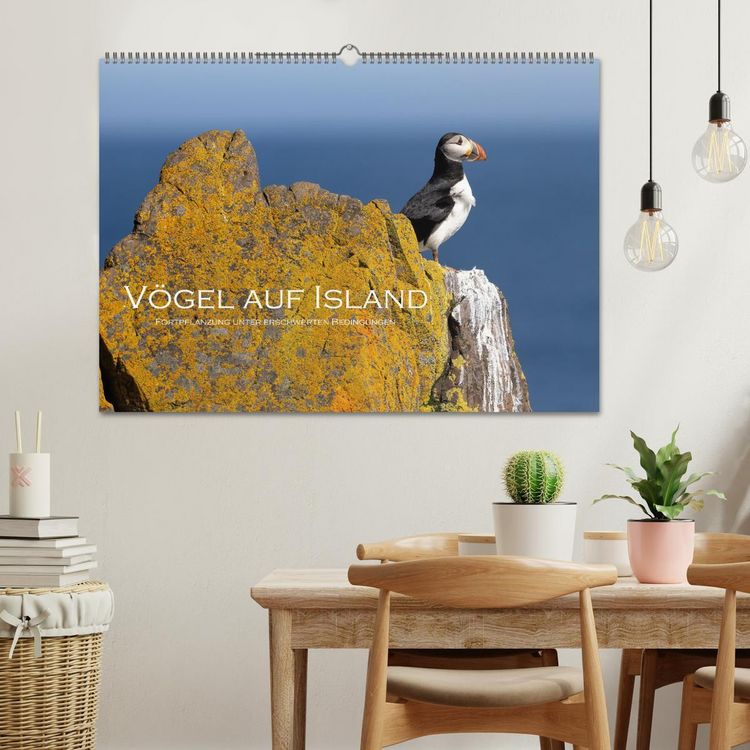 Produktbild: V&ouml;gel auf Island (Wandkalender 2026 DIN A2 quer), CALVENDO Monatskalender