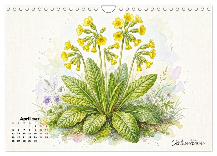 Produktbild: Wilde Kostbarkeiten &ndash; Essbar, gesund & wundersch&ouml;n (Wandkalender 2027 DIN A4 quer), CALVENDO Monatskalender