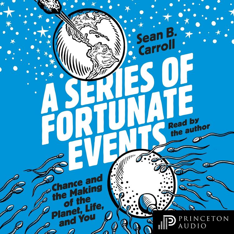 Produktbild: A Series of Fortunate Events