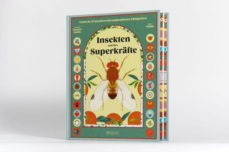 Produktbild: Insekten und ihre Superkr&auml;fte