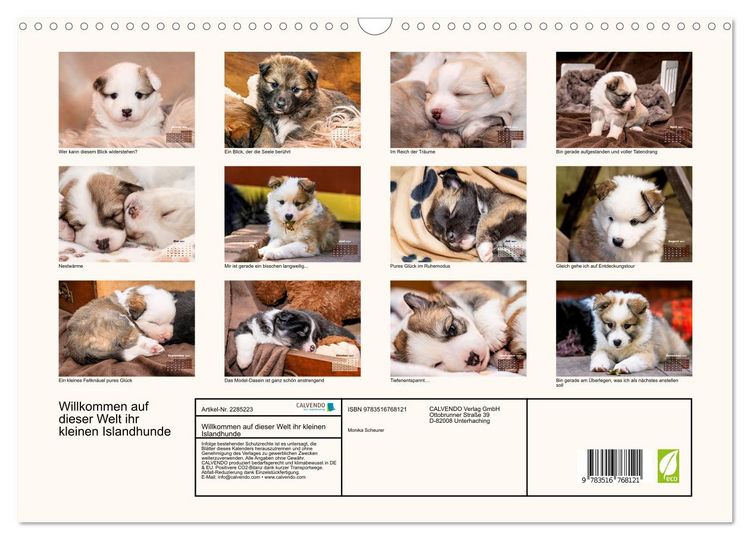 Produktbild: Willkommen auf dieser Welt ihr kleinen Islandhunde (Wandkalender 2027 DIN A3 quer), CALVENDO Monatskalender
