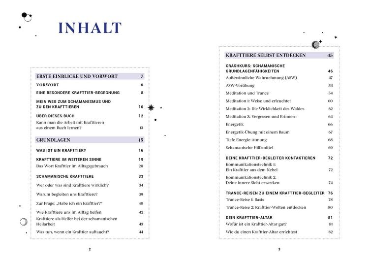 Produktbild: Praxisbuch Schamanische Krafttiere &ndash; Entdecke deine Seelenbegleiter
