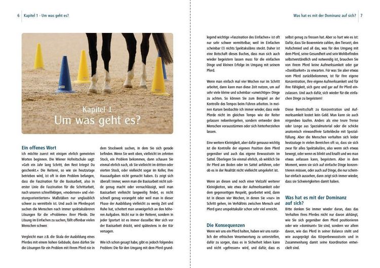 Produktbild: Dual-Aktivierung geritten