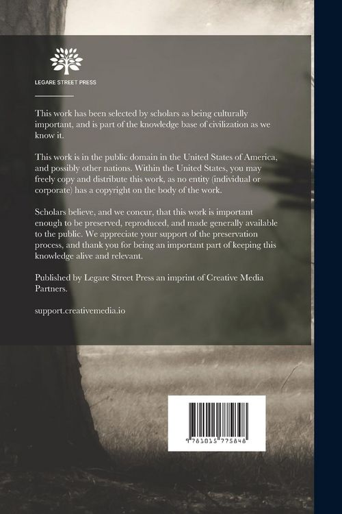 Produktbild: The Woman Who Battled for The Boys in Blue. Mother Bickerdyke;