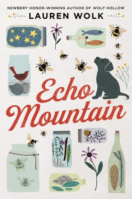 Produktbild: Echo Mountain