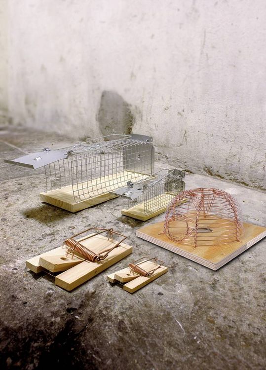 Produktbild: Swissinno Mouse Classic Lebendfalle 1St.