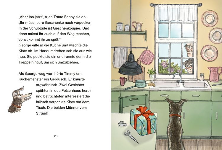 Produktbild: Fünf Freunde JUNIOR - Das Geburtstags-Abenteuer