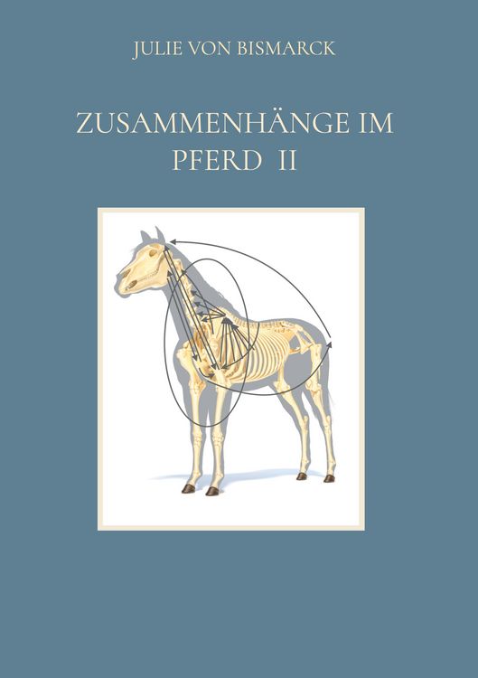 Produktbild: Zusammenh&auml;nge im Pferd II