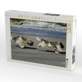 Produktbild: CALVENDO Puzzle Der PON | 1000 Teile Lege-Gr&ouml;&szlig;e 64x48cm Foto-Puzzle f&uuml;r gl&uuml;ckliche Stunden