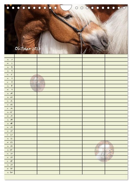 Produktbild: Haflinger Pferde - Stall- und Familienplaner 2026 (Wandkalender 2026 DIN A4 hoch), CALVENDO Monatskalender