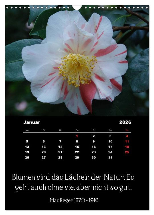 Produktbild: Spr&uuml;che und Zitate ber&uuml;hmter Personen &uuml;ber Blumen und Natur (Wandkalender 2026 DIN A3 hoch), CALVENDO Monatskalender