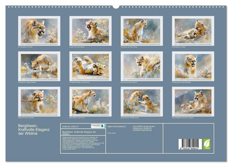 Produktbild: Bergl&ouml;wen. Kraftvolle Eleganz der Wildnis (hochwertiger Premium Wandkalender 2027 DIN A2 quer), Kunstdruck in Hochglanz