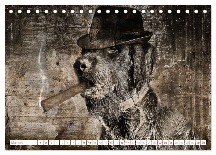 Produktbild: Hund tr&auml;gt Hut (Tischkalender 2026 DIN A5 quer), CALVENDO Monatskalender