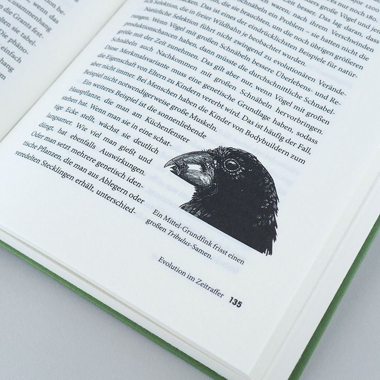 Produktbild: Gl&uuml;cksfall Mensch