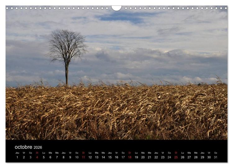 Produktbild: Regard sur les saisons du Qu&eacute;bec (Calendrier mural 2026 DIN A3 vertical), CALVENDO calendrier mensuel