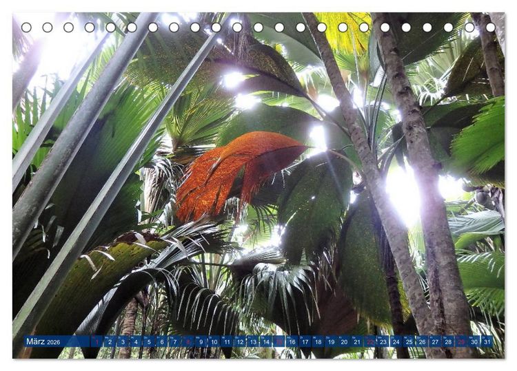 Produktbild: Seychellen - Wild und Sch&ouml;n (Tischkalender 2026 DIN A5 quer), CALVENDO Monatskalender