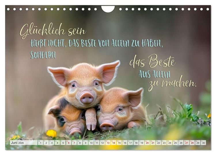 Produktbild: Ein tierisch gutes Jahr (Wandkalender 2026 DIN A4 quer), CALVENDO Monatskalender