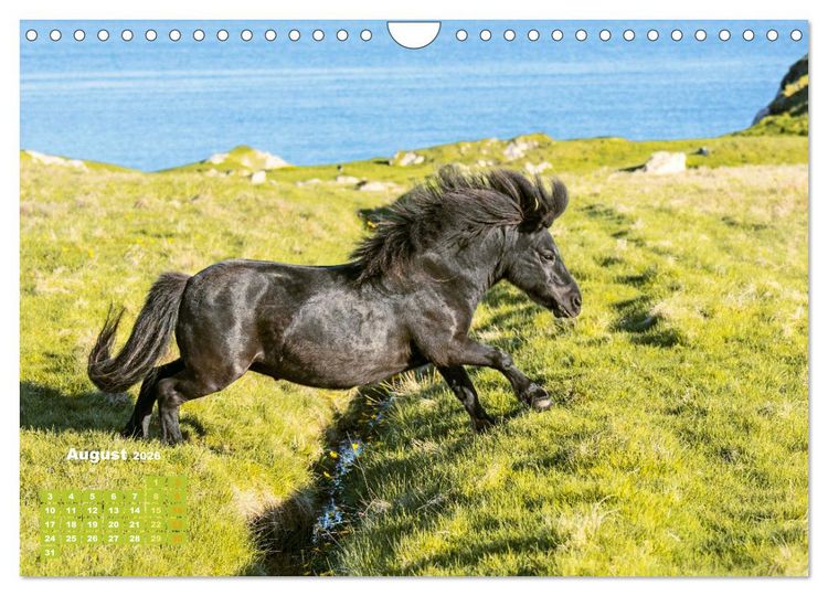 Produktbild: Naturschauspiele in Schottland (Wandkalender 2026 DIN A4 quer), CALVENDO Monatskalender