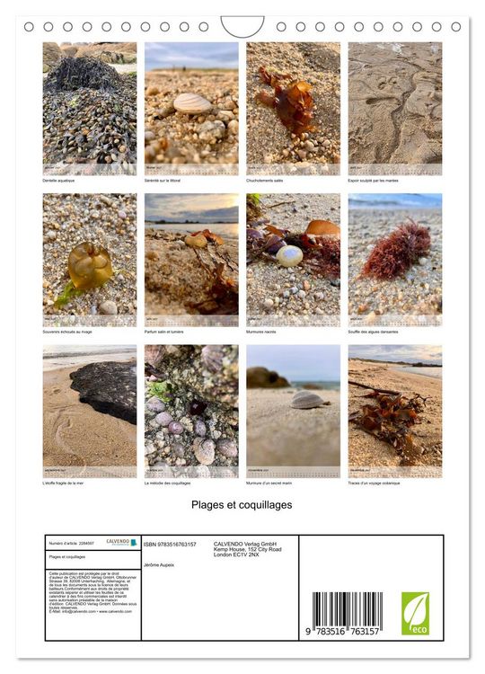 Produktbild: Plages et coquillages (Calendrier mural 2027 DIN A4 horizontal), CALVENDO calendrier mensuel