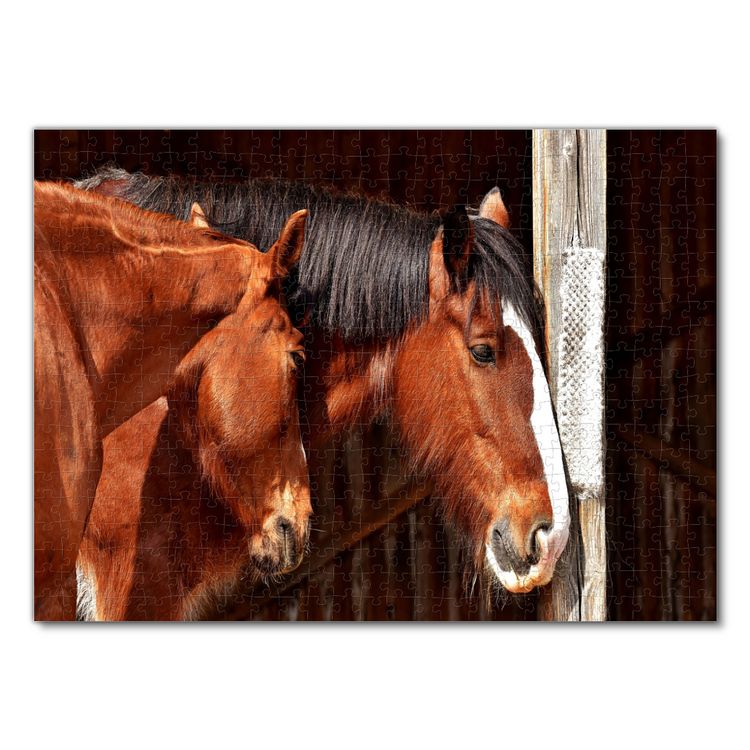 Produktbild: Lais Puzzle Shire Horse 500 Teile