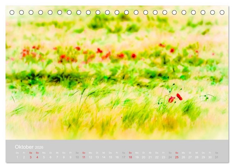 Produktbild: Zauber des Mohns (Tischkalender 2026 DIN A5 quer), CALVENDO Monatskalender
