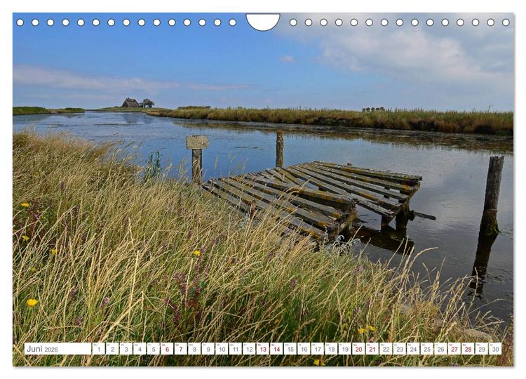 Produktbild: Sommertage auf Hallig Hooge (Wandkalender 2026 DIN A4 quer), CALVENDO Monatskalender