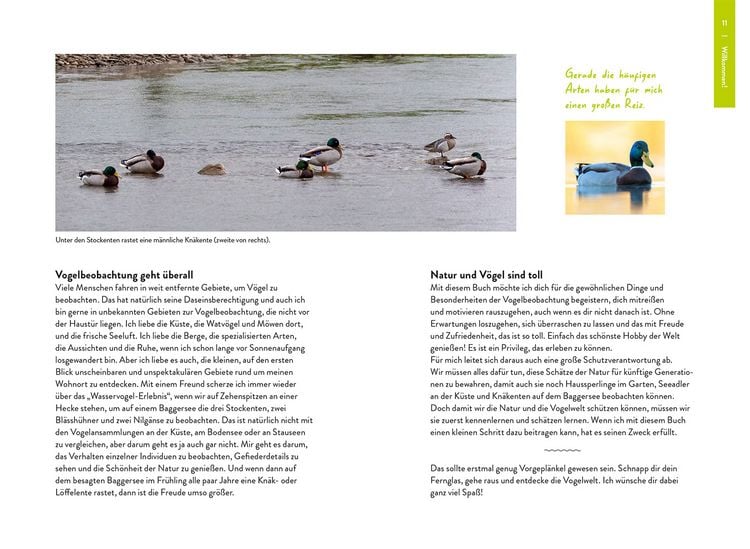 Produktbild: Nature Guide V&ouml;gel