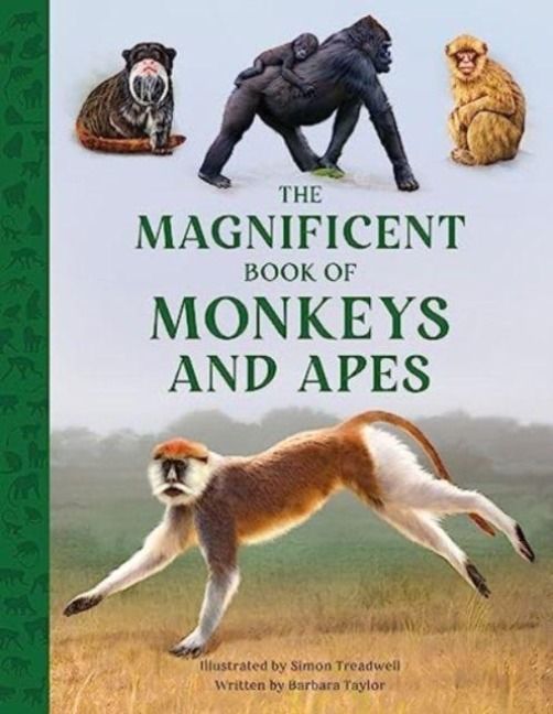 Produktbild: The Magnificent Book of Monkeys and Apes